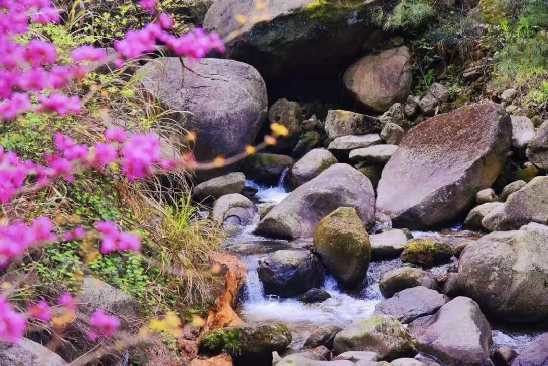 好博(中国)体育智能科技股份有限公司网站