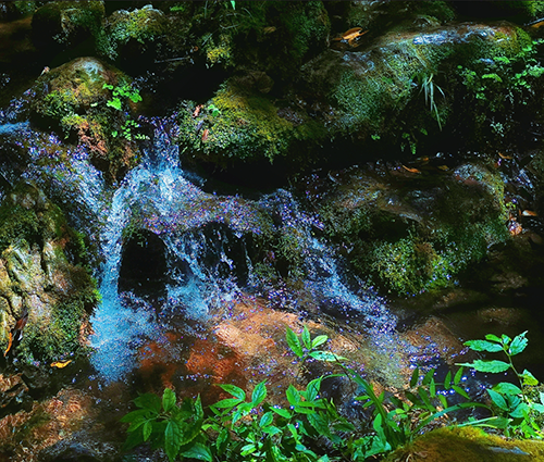 好博(中国)体育智能科技股份有限公司网站